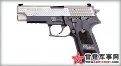 ��ζ�Ź��� �й���������Ʒģ��